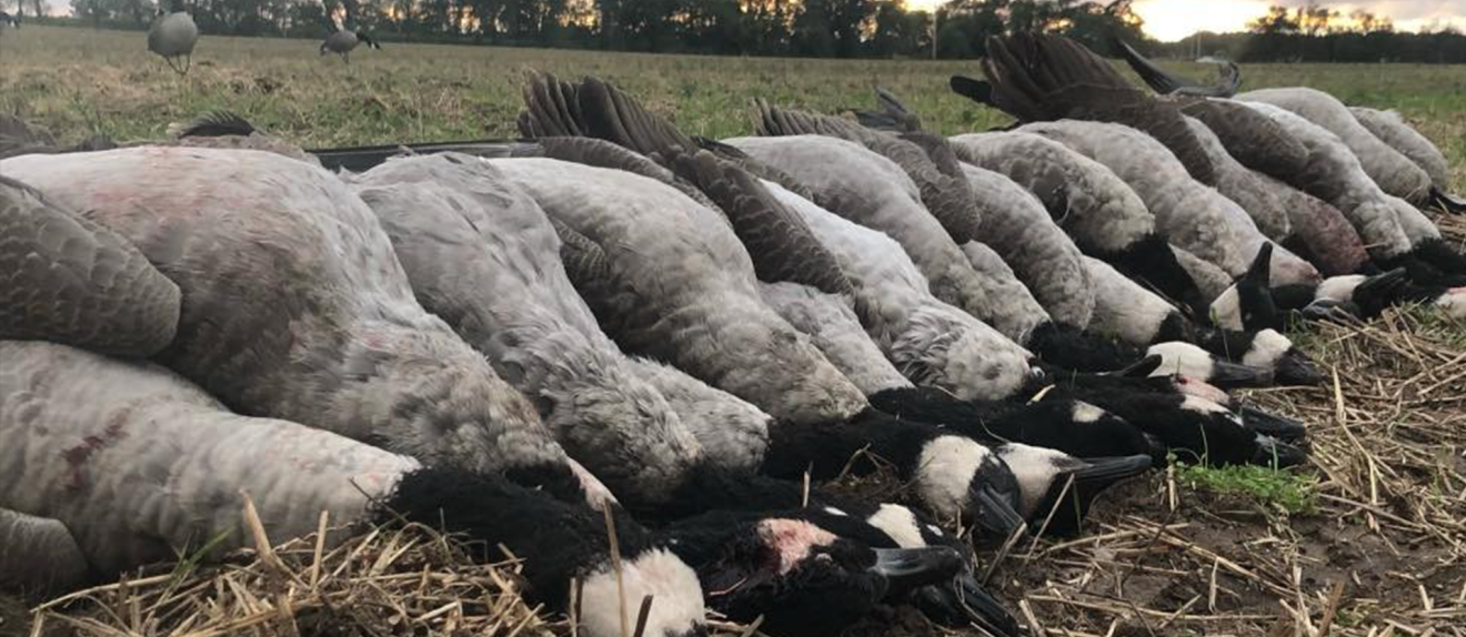 Welcome to Reign Guided Outdoors - Michigan's Waterfowl Hunting Outfitter